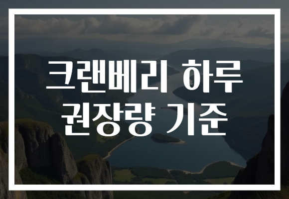 크랜베리 하루 권장량 기준