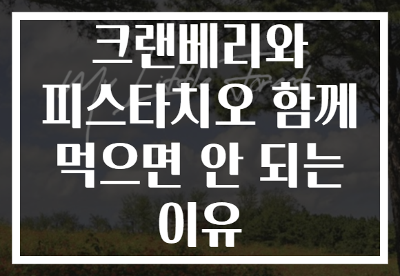 크랜베리와 피스타치오 함께 먹으면 안 되는 이유