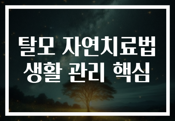 탈모 자연치료법 생활 관리 핵심 탈모 자연치료법 생활 관리 핵심