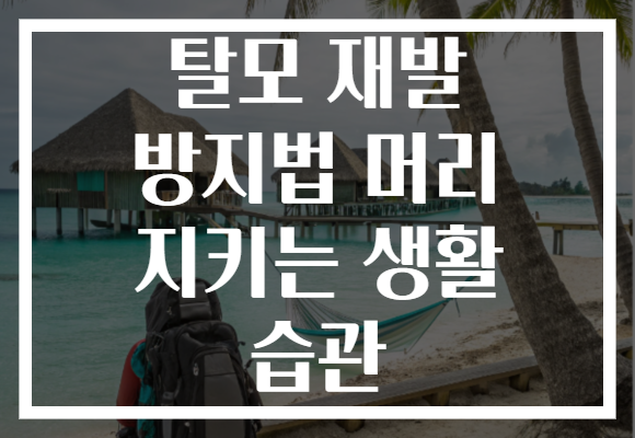 탈모 재발 방지법 머리 지키는 생활 습관