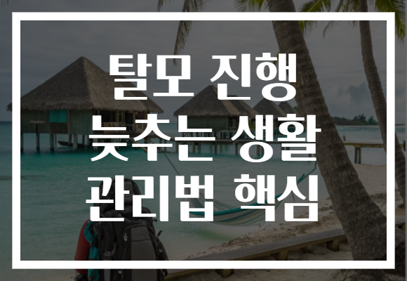 탈모 진행 늦추는 생활 관리법 핵심