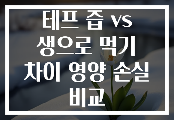 테프 즙 vs 생으로 먹기 차이 영양 손실 비교