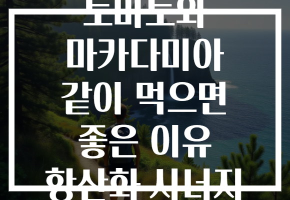 토마토와 마카다미아 같이 먹으면 좋은 이유 항산화 시너지