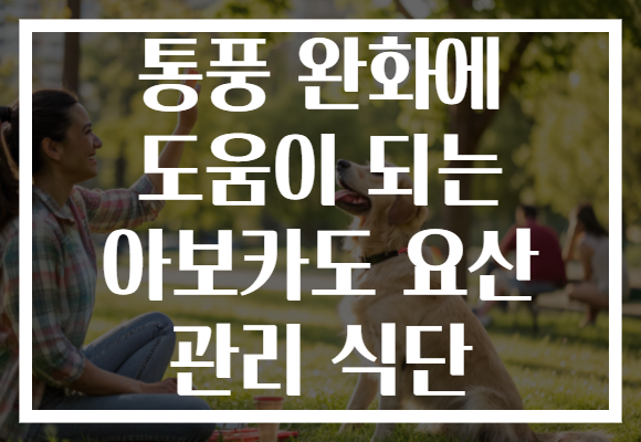 통풍 완화에 도움이 되는 아보카도 요산 관리 식단