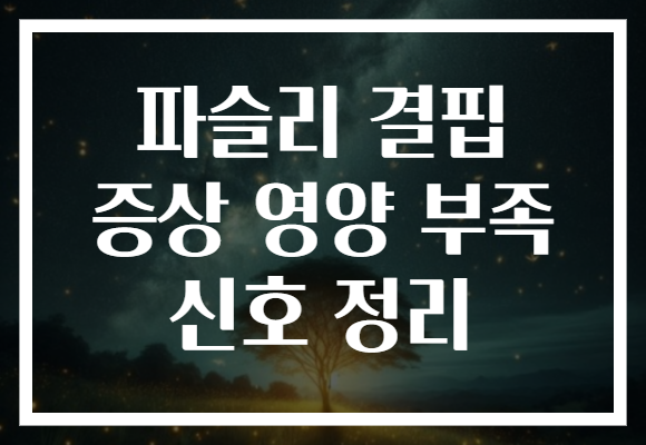 파슬리 결핍 증상 영양 부족 신호 정리