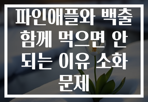 파인애플와 백출 함께 먹으면 안 되는 이유 소화 문제