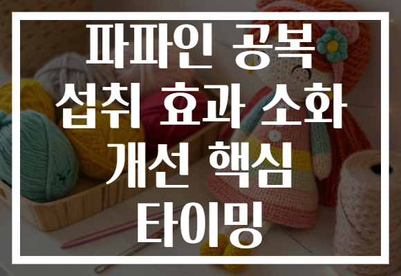 파파인 공복 섭취 효과 소화 개선 핵심 타이밍 파파인 공복 섭취 효과 소화 개선 핵심 타이밍