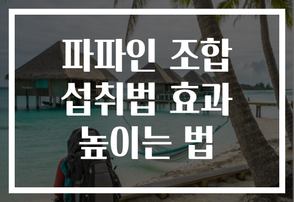 파파인 조합 섭취법 효과 높이는 법 파파인 조합 섭취법 효과 높이는 법