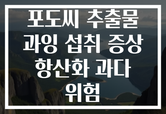 포도씨 추출물 과잉 섭취 증상 항산화 과다 위험
