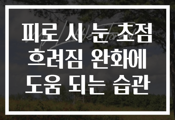 피로 시 눈 초점 흐려짐 완화에 도움 되는 습관 피로 시 눈 초점 흐려짐 완화에 도움 되는 습관