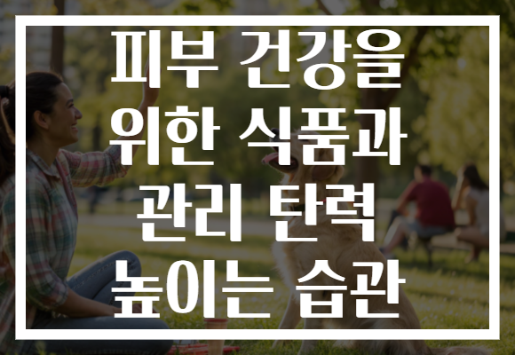 피부 건강을 위한 식품과 관리 탄력 높이는 습관