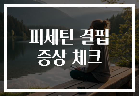 피세틴 결핍 증상 체크