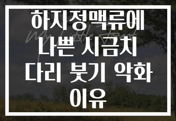하지정맥류에 나쁜 시금치 다리 붓기 악화 이유