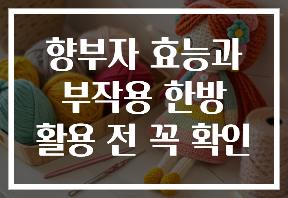 향부자 효능과 부작용 한방 활용 전 꼭 확인