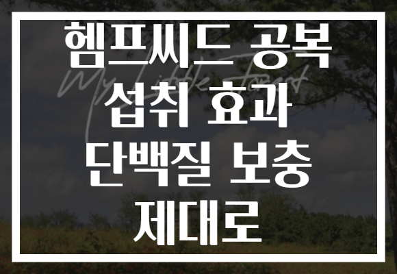 헴프씨드 공복 섭취 효과 단백질 보충 제대로