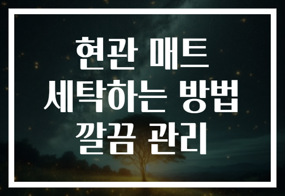 현관 매트 세탁하는 방법 깔끔 관리