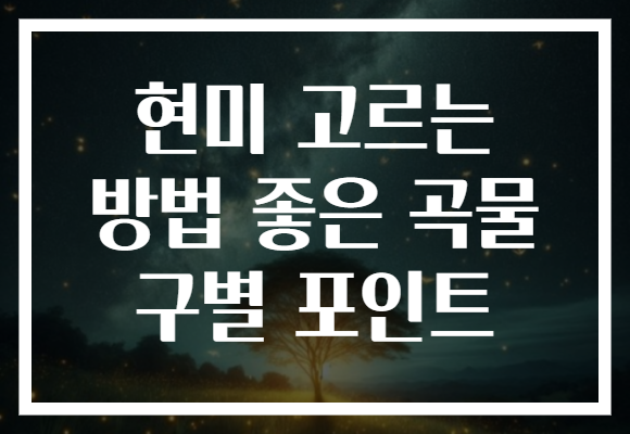 현미 고르는 방법 좋은 곡물 구별 포인트