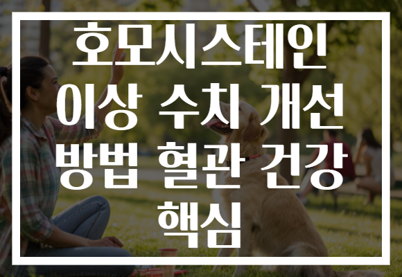 호모시스테인 이상 수치 개선 방법 혈관 건강 핵심