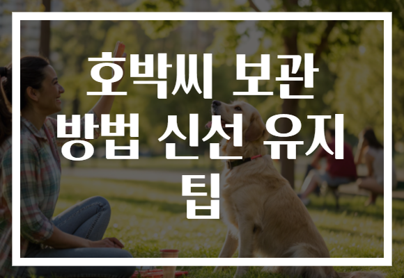 호박씨 보관 방법 신선 유지 팁 호박씨 보관 방법 신선 유지 팁