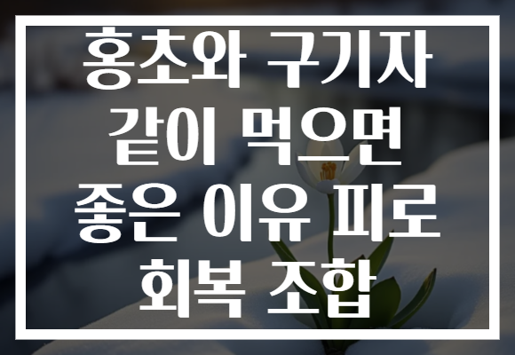 홍초와 구기자 같이 먹으면 좋은 이유 피로 회복 조합