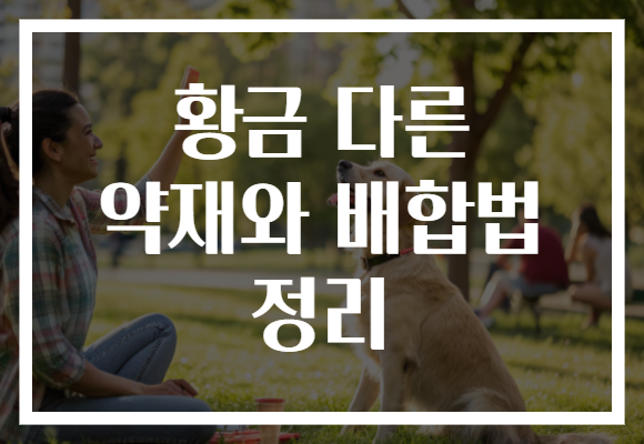 황금 다른 약재와 배합법 정리 황금 다른 약재와 배합법 정리