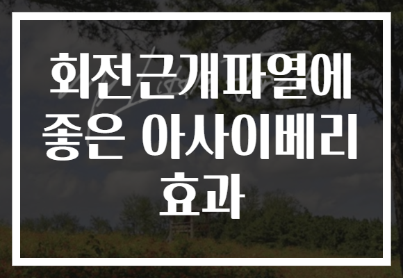 회전근개파열에 좋은 아사이베리 효과