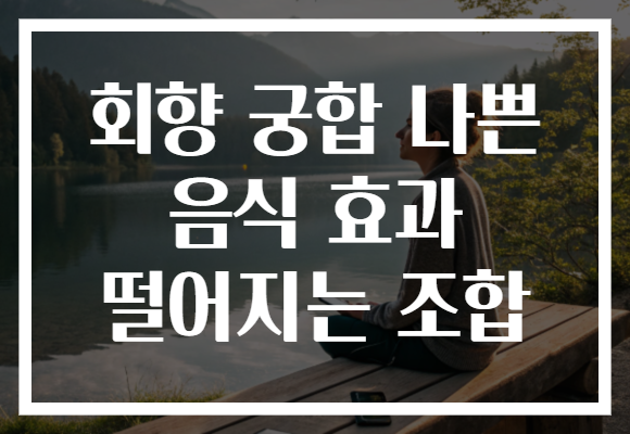 회향 궁합 나쁜 음식 효과 떨어지는 조합