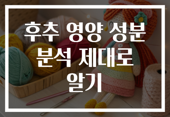 후추 영양 성분 분석 제대로 알기 후추 영양 성분 분석 제대로 알기