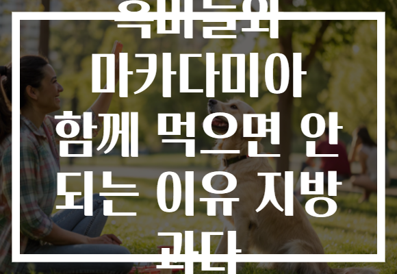 흑마늘와 마카다미아 함께 먹으면 안 되는 이유 지방 과다