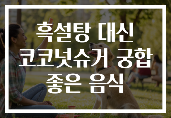 흑설탕 대신 코코넛슈거 궁합 좋은 음식