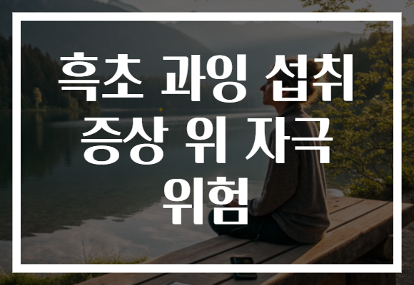 흑초 과잉 섭취 증상 위 자극 위험