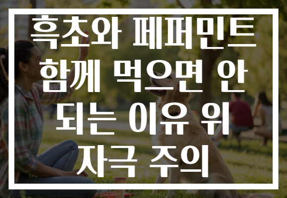 흑초와 페퍼민트 함께 먹으면 안 되는 이유 위 자극 주의