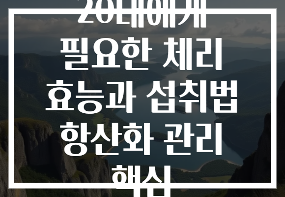 20대에게 필요한 체리 효능과 섭취법 항산화 관리 핵심