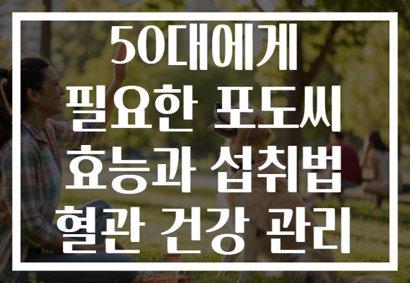 50대에게 필요한 포도씨 효능과 섭취법 혈관 건강 관리