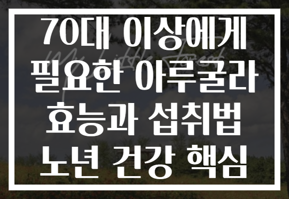 70대 이상에게 필요한 아루굴라 효능과 섭취법 노년 건강 핵심