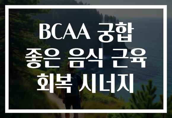 BCAA 궁합 좋은 음식 근육 회복 시너지 BCAA 궁합 좋은 음식 근육 회복 시너지