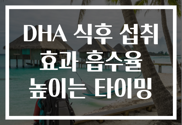 DHA 식후 섭취 효과 흡수율 높이는 타이밍