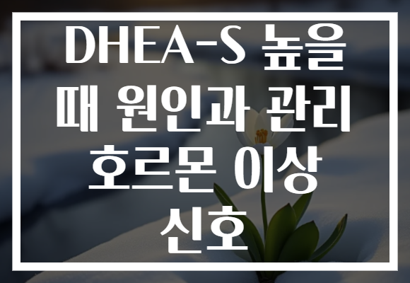 DHEA-S 높을 때 원인과 관리 호르몬 이상 신호
