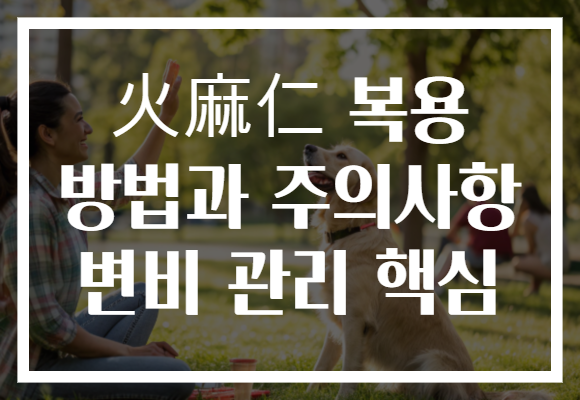 火麻仁 복용 방법과 주의사항 변비 관리 핵심
