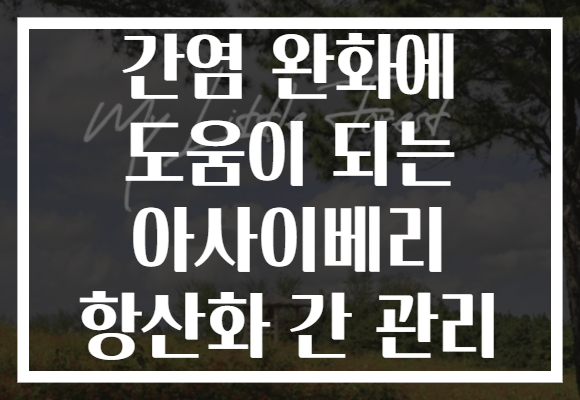 간염 완화에 도움이 되는 아사이베리 항산화 간 관리