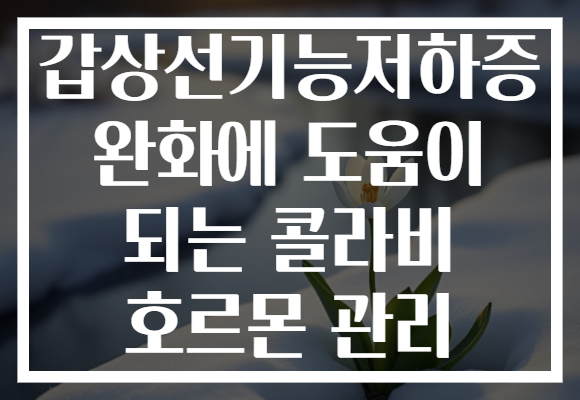 갑상선기능저하증 완화에 도움이 되는 콜라비 호르몬 관리