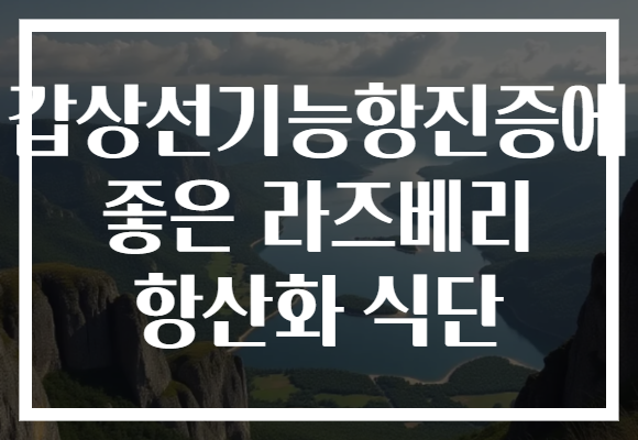 갑상선기능항진증에 좋은 라즈베리 항산화 식단