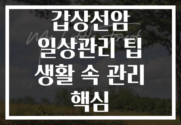 갑상선암 일상관리 팁 생활 속 관리 핵심