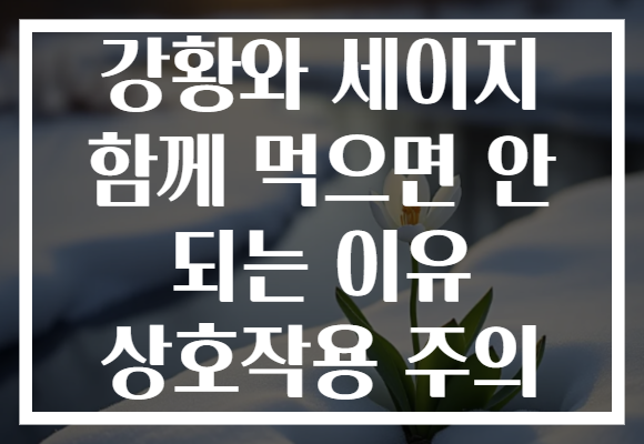 강황와 세이지 함께 먹으면 안 되는 이유 상호작용 주의