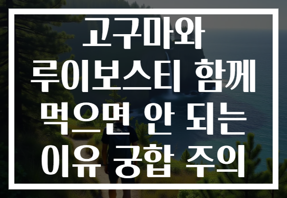 고구마와 루이보스티 함께 먹으면 안 되는 이유 궁합 주의