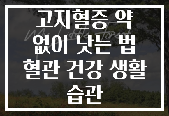 고지혈증 약 없이 낫는 법 혈관 건강 생활 습관