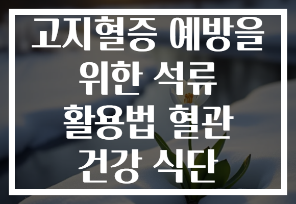 고지혈증 예방을 위한 석류 활용법 혈관 건강 식단