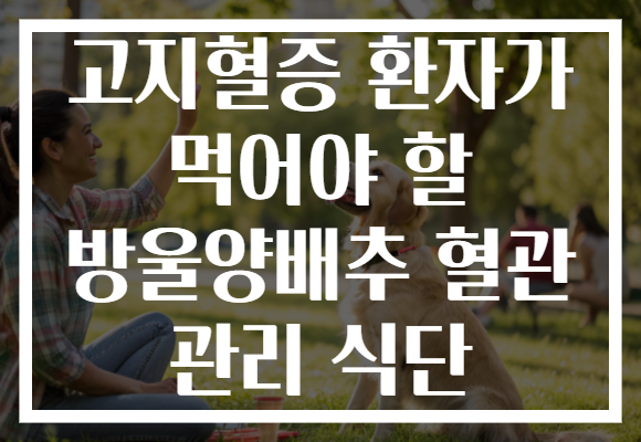 고지혈증 환자가 먹어야 할 방울양배추 혈관 관리 식단
