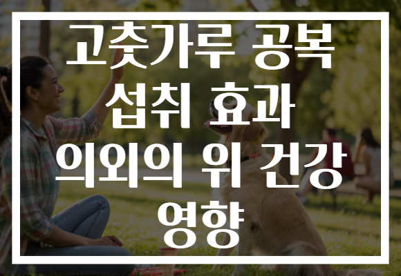 고춧가루 공복 섭취 효과 의외의 위 건강 영향