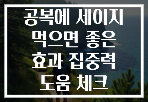 공복에 세이지 먹으면 좋은 효과 집중력 도움 체크